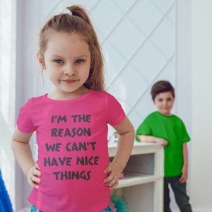 I'm the reason we can’t have nice things t shirt